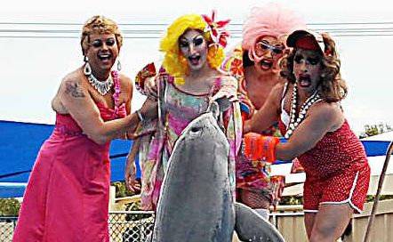 Drag queens took over the iconic Pet Porpoise Pool for one of the highlights of the CoastOut Festival. Drag queens took over the iconic Pet Porpoise Pool for one of the highlights of the CoastOut Festival.